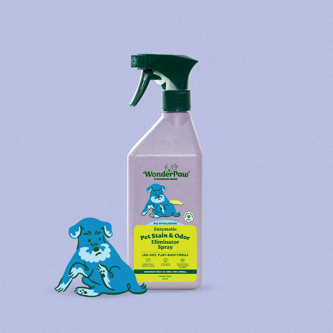 Pet Stain & Odor Eliminator Spray Gentle Aloe 650ml