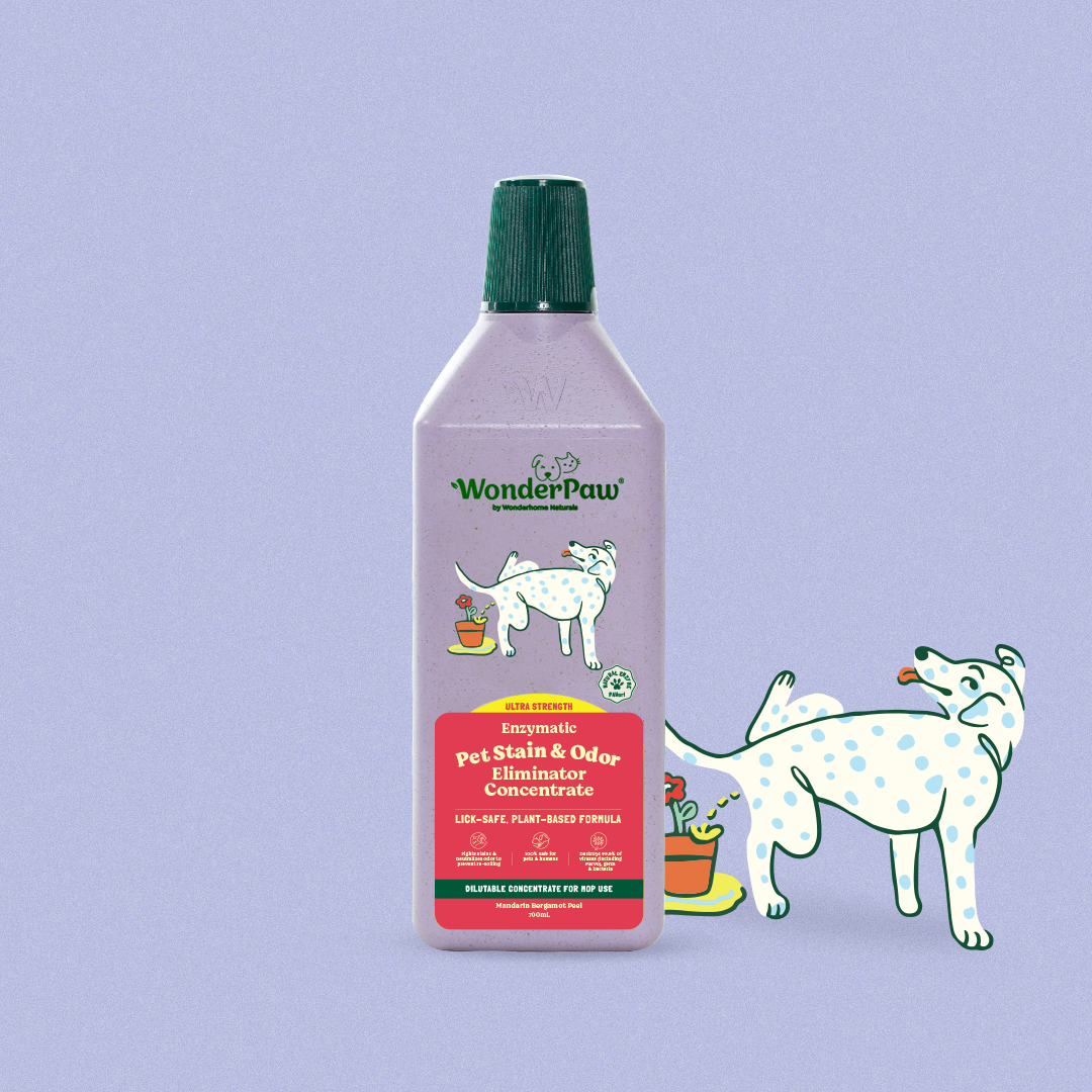 Pet Stain & Odor Eliminator Concentrated Mandarin Bergamot Peel 700ml