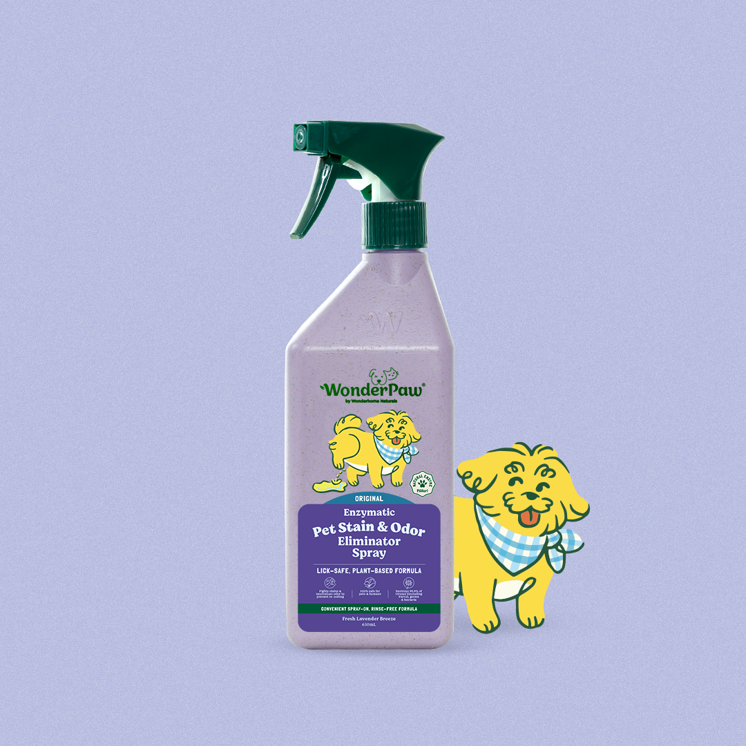 Pet Urine, Stain & Odor Eliminator Spray Fresh Lavender Breeze 650mL