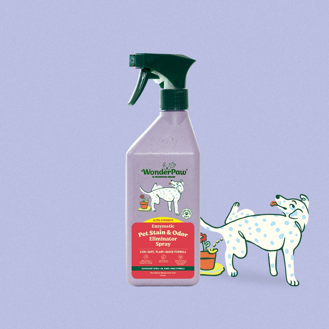 Pet Stain & Odor Eliminator Spray Mandarin Bergamot Peel 650ml
